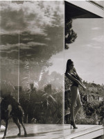 photo 4 in Swanepoel gallery [id163939] 2009-06-22