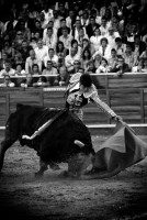 photo 27 in Cayetano Rivera gallery [id542648] 2012-10-14