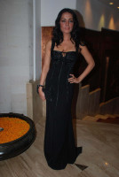 Celina Jaitley photo #