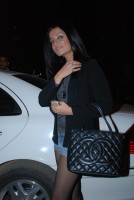 Celina Jaitley photo #