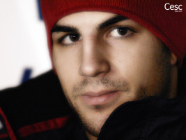 Cesc Fabregas photo #