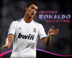 photo 15 in Cristiano gallery [id552591] 2012-11-18