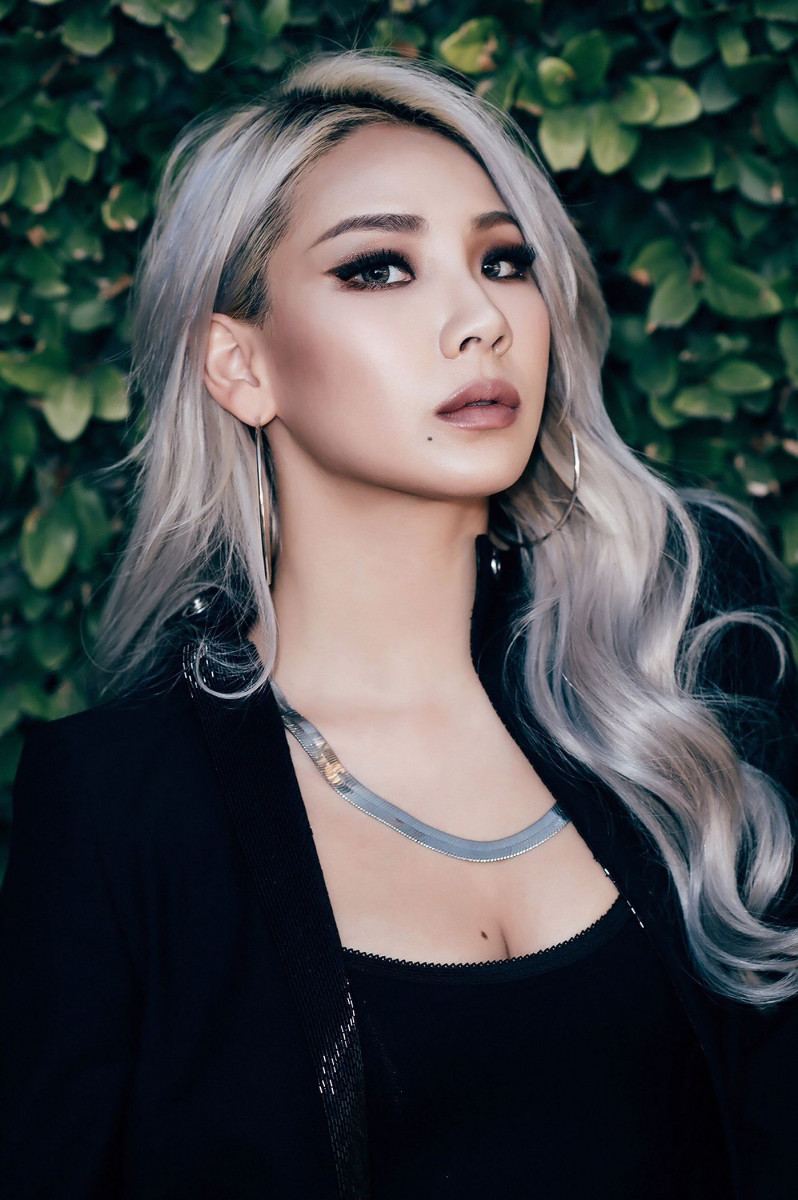 CL        : pic #1274501