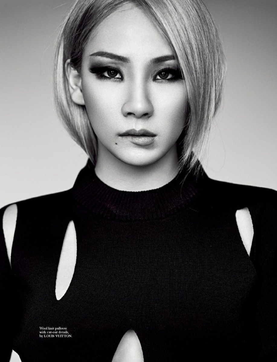CL        : pic #1274490