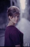 photo 7 in Claudia Cardinale gallery [id484398] 2012-05-02