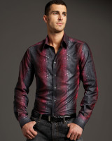 photo 24 in Mauro gallery [id529381] 2012-09-06