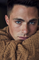 Colton Haynes photo #