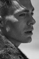 Colton Haynes photo #