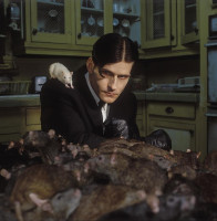 photo 4 in Crispin Glover gallery [id235183] 2010-02-11