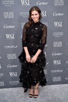 photo 4 in Dasha Zhukova gallery [id976421] 2017-11-03