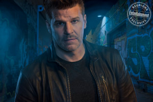 David Boreanaz photo #