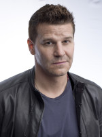 David Boreanaz photo #