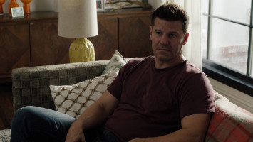 David Boreanaz photo #