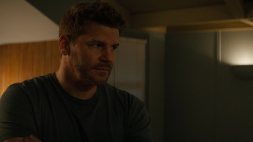 David Boreanaz photo #