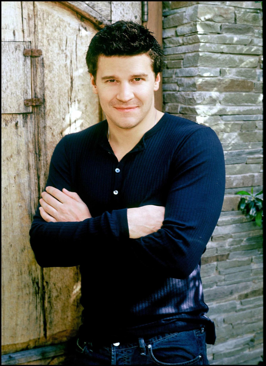 David Boreanaz photo 12 of 499 pics, wallpaper photo 36789 ThePlace2