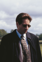 David Duchovny pic #446462