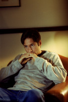 David Duchovny photo #