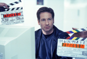 David Duchovny photo #