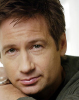 David Duchovny photo #