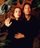 photo 22 in Duchovny gallery [id446460] 2012-02-16