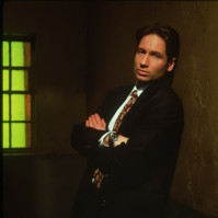 photo 20 in David Duchovny gallery [id362247] 2011-03-29