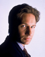 David Duchovny photo #