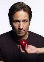 photo 28 in David Duchovny gallery [id178786] 2009-09-04