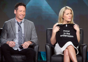 David Duchovny pic #827473