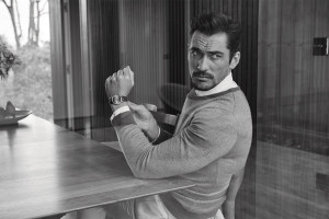 David Gandy photo #