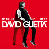 David Guetta photo #