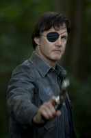 David Morrissey photo #