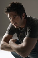 David Schwimmer pic #329350