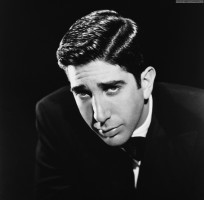 David Schwimmer photo #