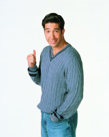 David Schwimmer photo #