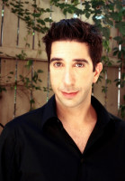 David Schwimmer photo #