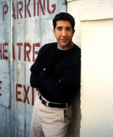 David Schwimmer photo #