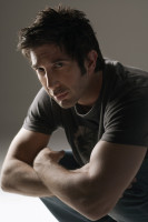 David Shwimmer pic #81838