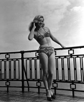 Diana Dors photo #