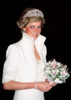 photo 9 in Diana Spencer gallery [id528146] 2012-09-02