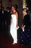 photo 21 in Diana Spencer gallery [id528134] 2012-09-02