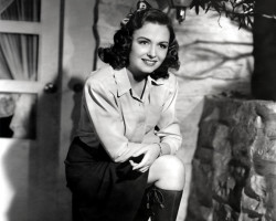 Donna Reed photo #