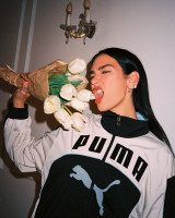 Dua Lipa photo #