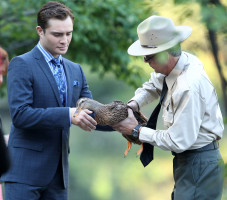 photo 4 in Ed Westwick gallery [id529406] 2012-09-06