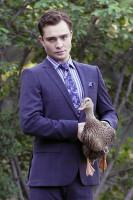 photo 5 in Westwick gallery [id529405] 2012-09-06