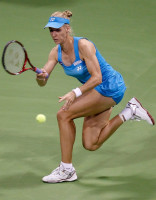 Elena Dementieva photo #