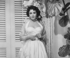 photo 4 in Elizabeth Taylor gallery [id620723] 2013-07-22