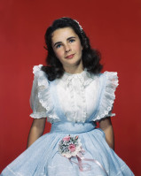 Elizabeth Taylor photo #