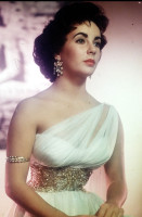 photo 25 in Elizabeth Taylor gallery [id620607] 2013-07-22