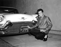 Elvis Presley photo #