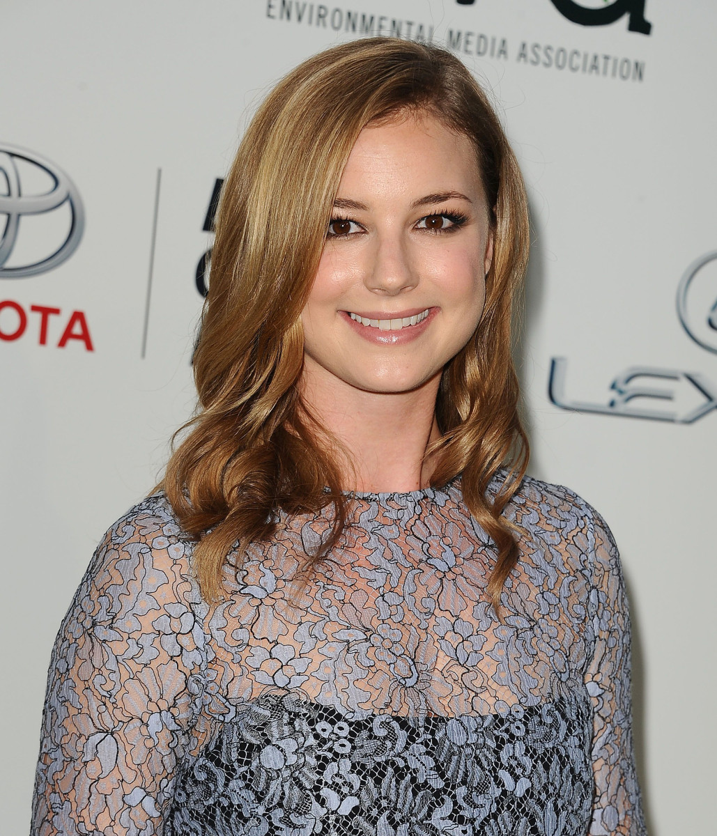 Emily van Camp: pic #1283896